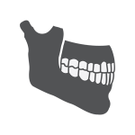 graphic of a jaw